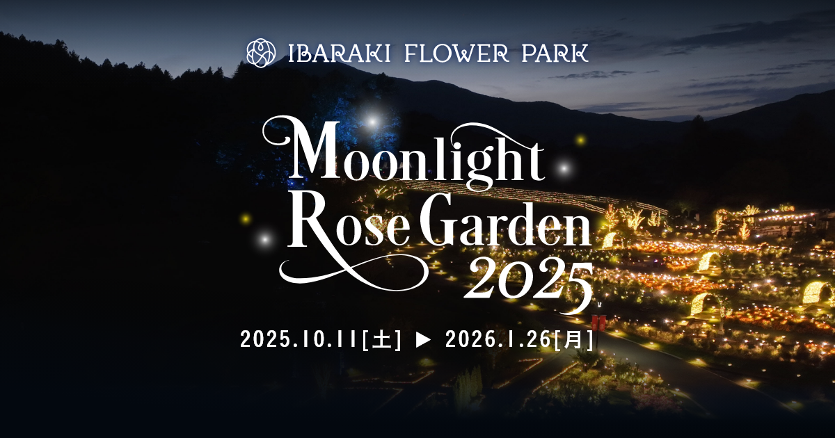 Moonlight Rose Garden（星が煌めく里山の夜）