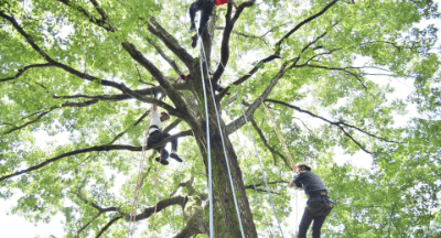 森の中で遊ぶ