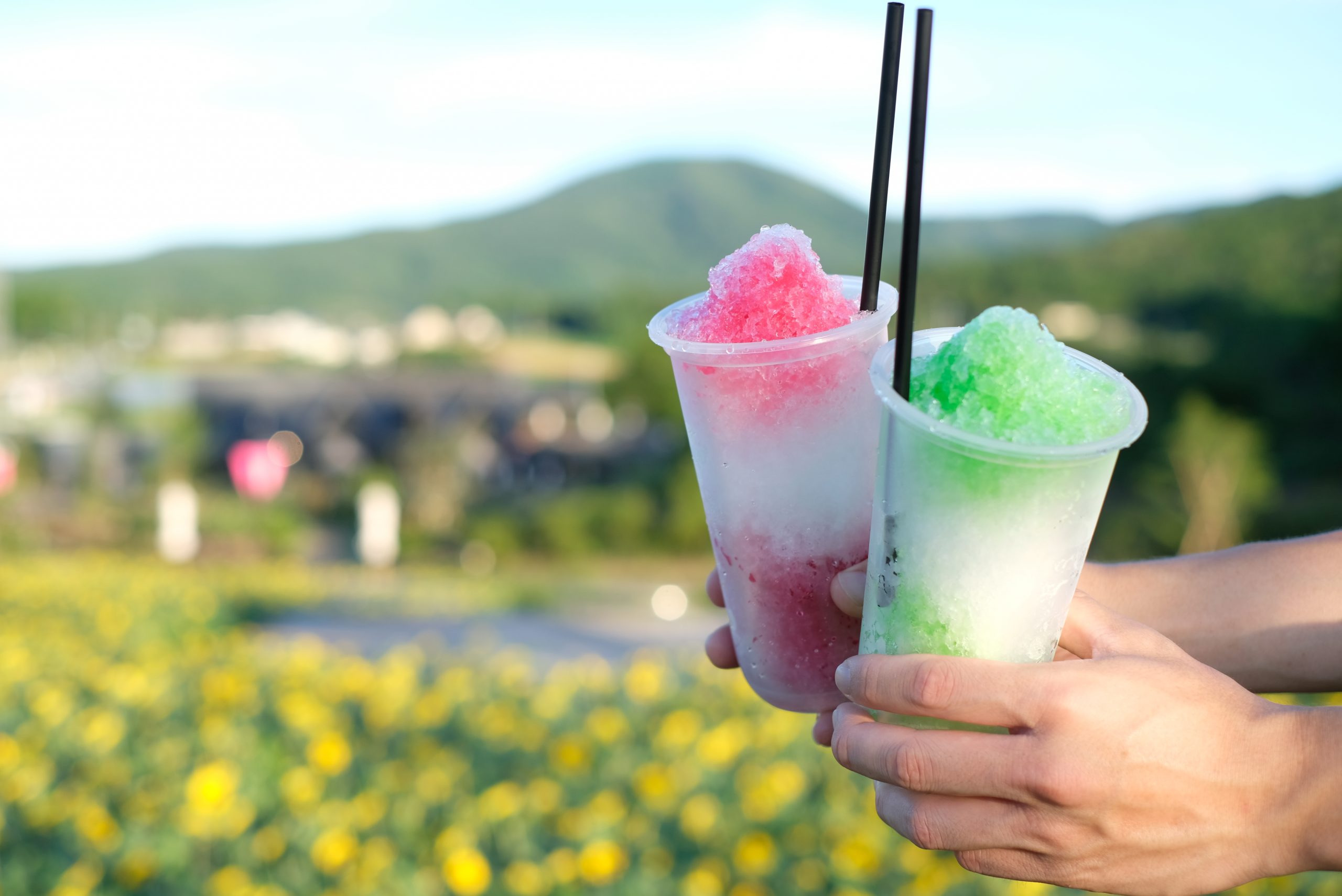 初夏に筑波山の夕景を楽しむフードマーケット