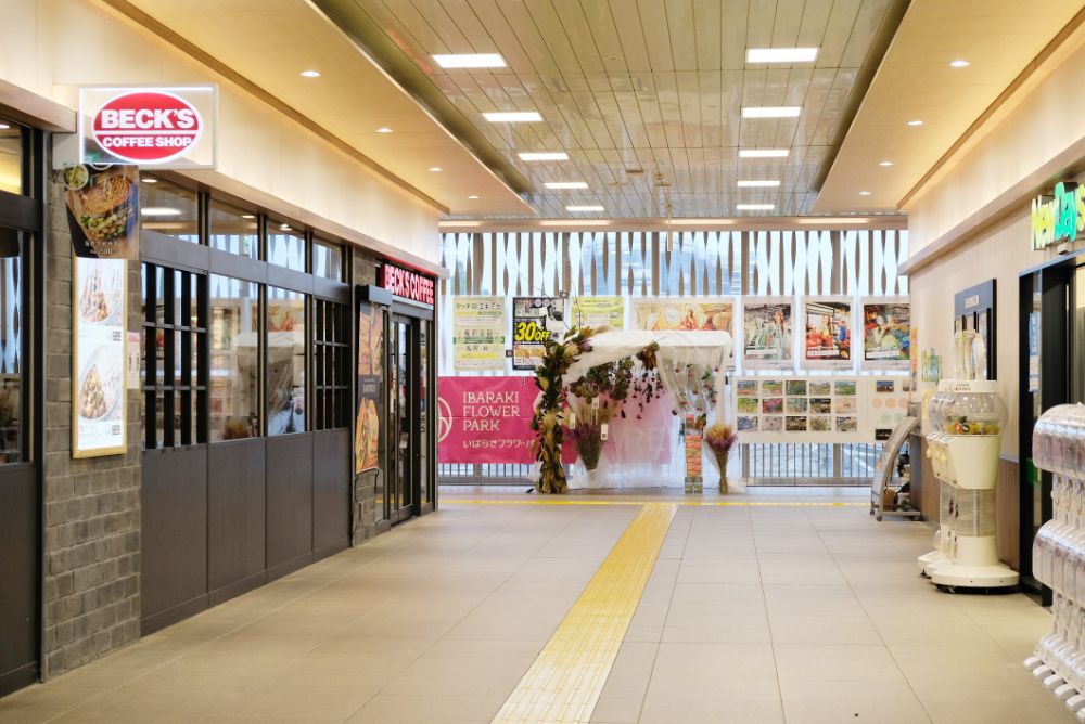 JR水戸駅＆石岡駅でフラワーパークを体感！いばらき秋季観光キャンペーンスタート