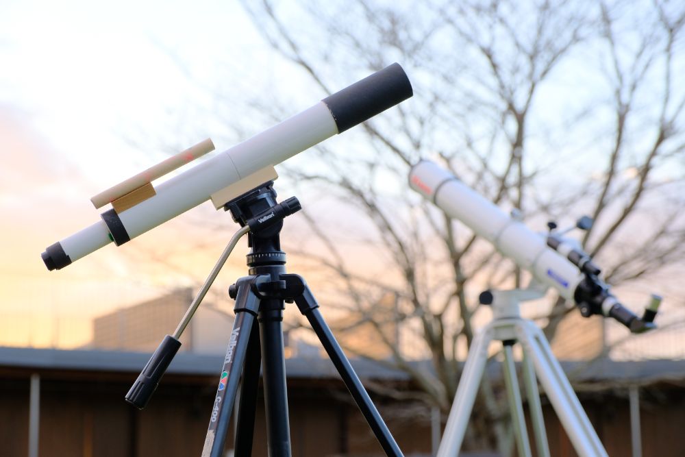 冬の自然、サザンカと星空を楽しめます