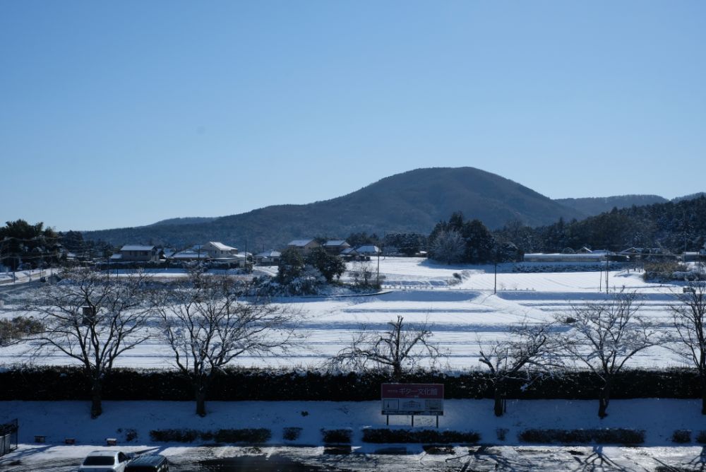 雪景色の園内、通常営業おこないます！