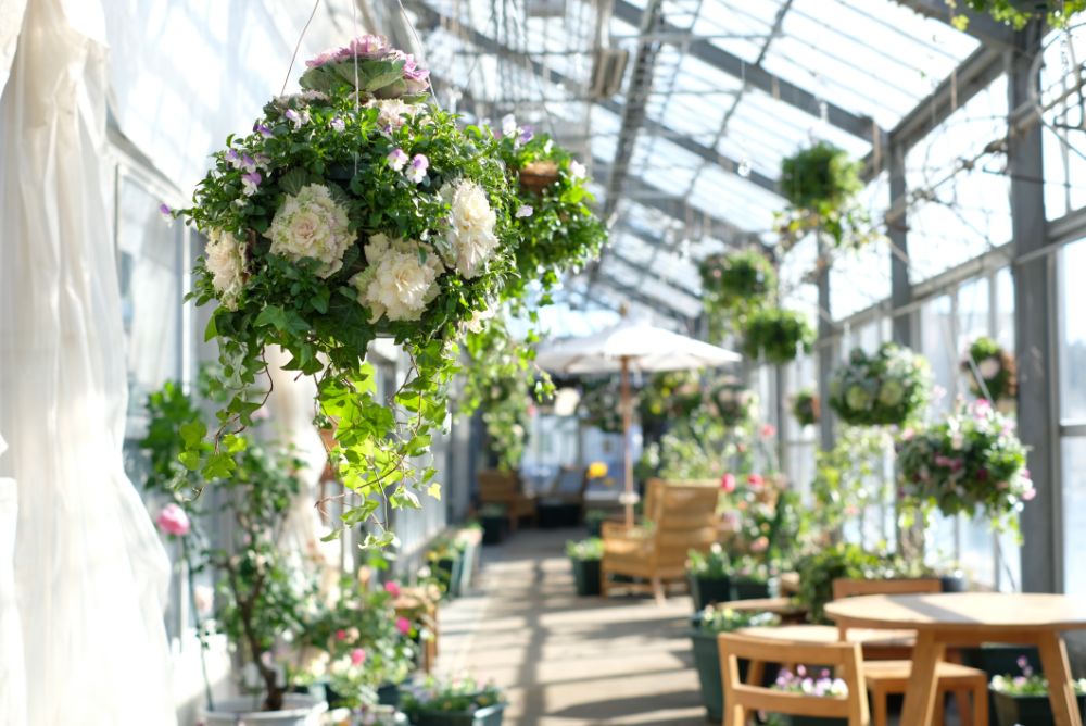 今日から新シーズン！花々に囲まれる温室と冬の自然を楽しむ森歩き