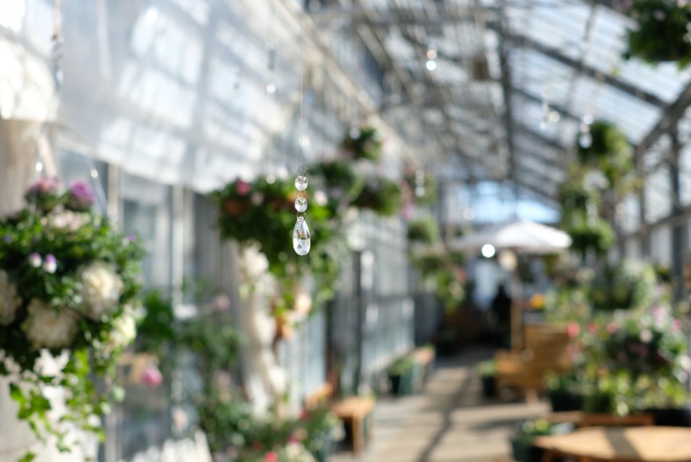 今日から新シーズン！花々に囲まれる温室と冬の自然を楽しむ森歩き