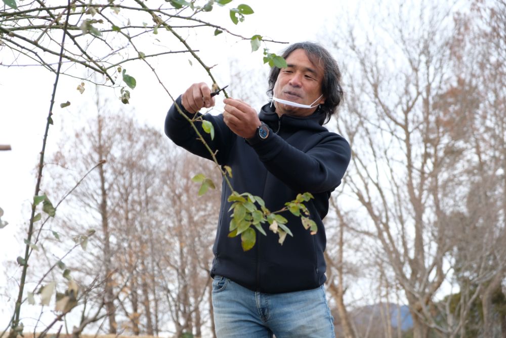 木村さん冬剪定ガーデンツアーを開催