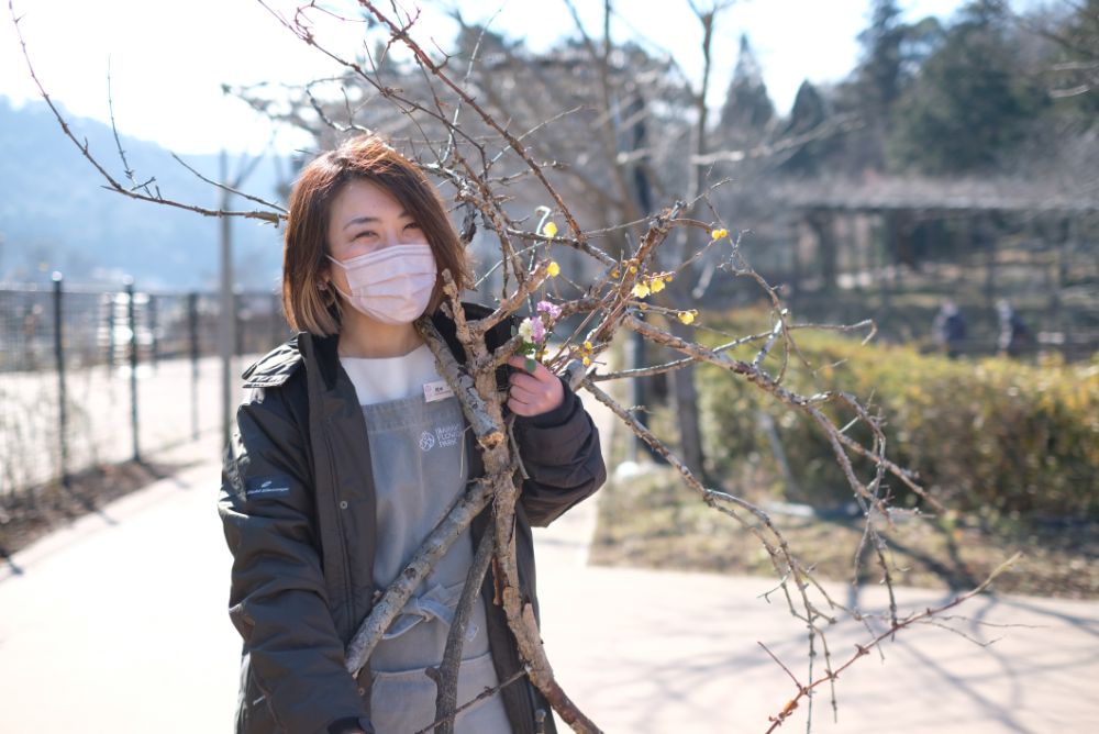 ロウバイ香る花やさと山で、深呼吸を