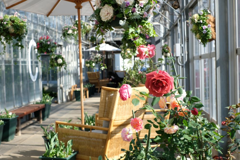 ロウバイ香る花やさと山で、深呼吸を