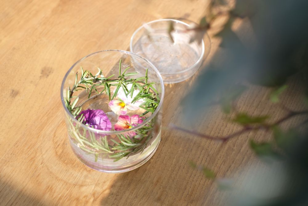 梅と温室のチューリップの開花