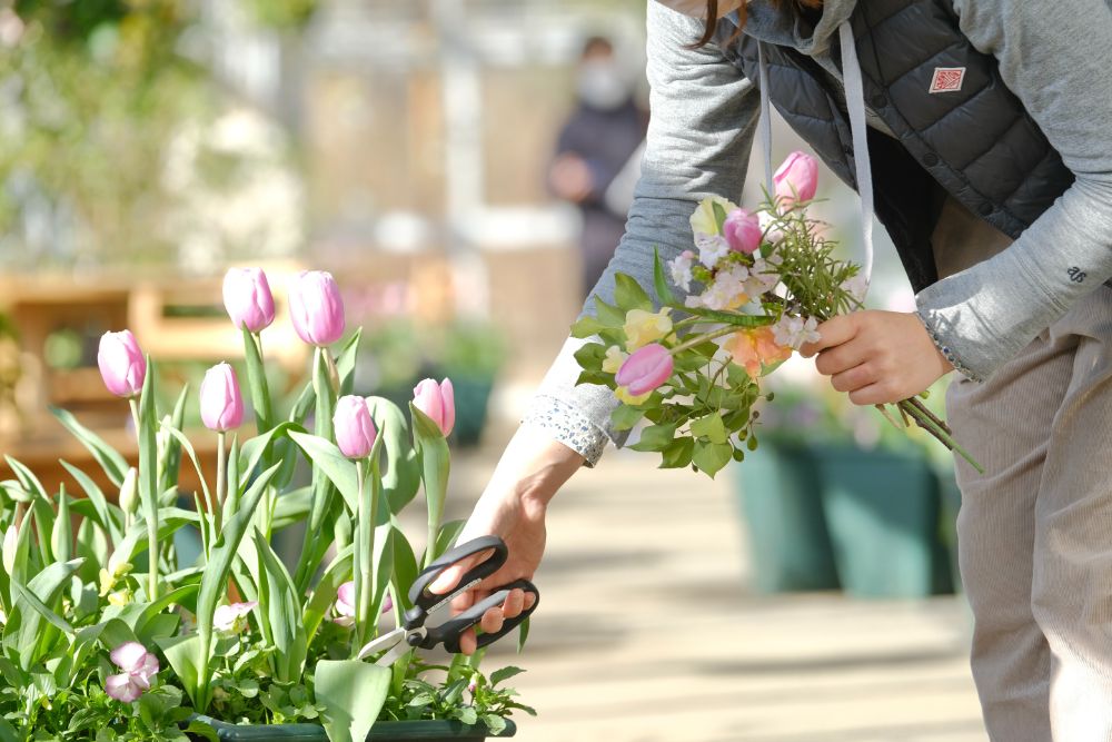 旬を味わういちごフェア！チューリップの花摘みアクティビティなどで春を先取り！