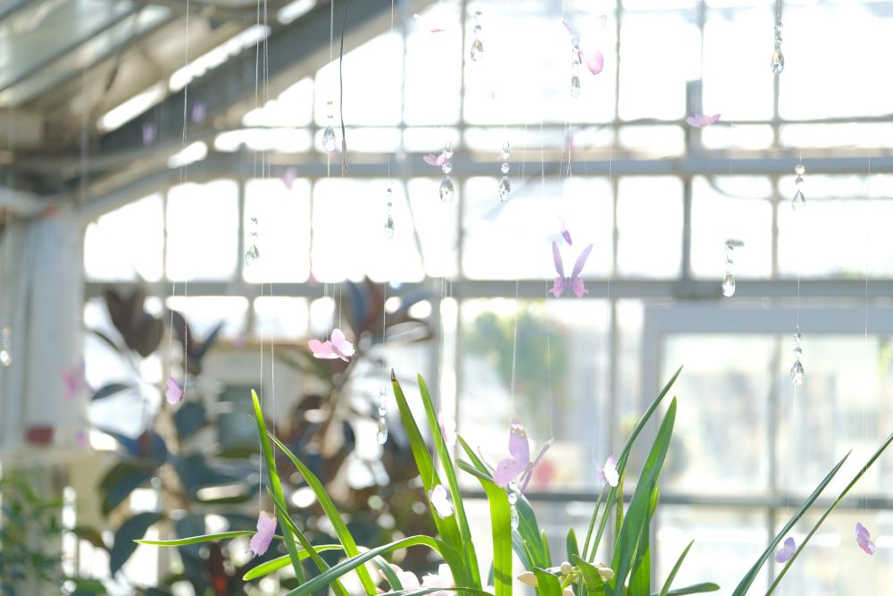 バレンタインに花束と素敵な時間を