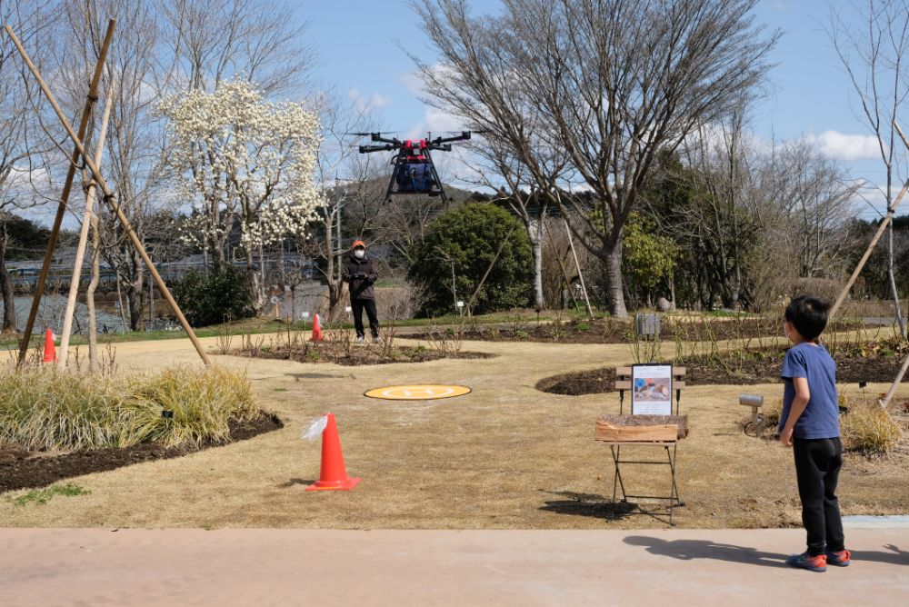 2022/03/20【開花状況】サンシュユ、河津桜、ハクモクレン、梅