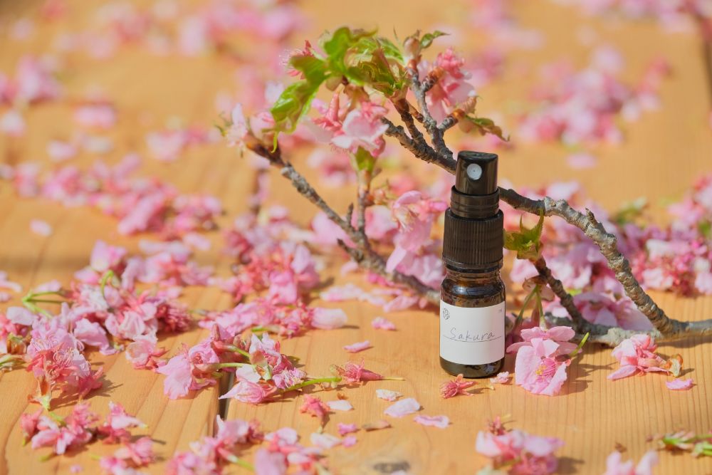 明日から「春」シーズン！ソメイヨシノに包まれる花やさと山