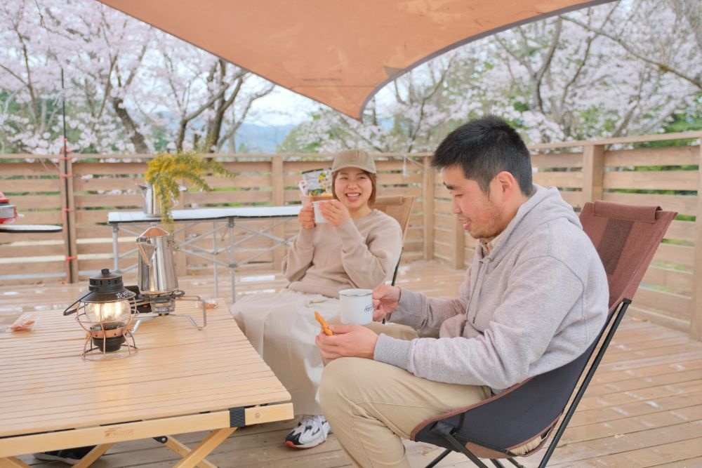 春爛漫！満開の桜に包まれ仲間と楽しむお花見キャンプ