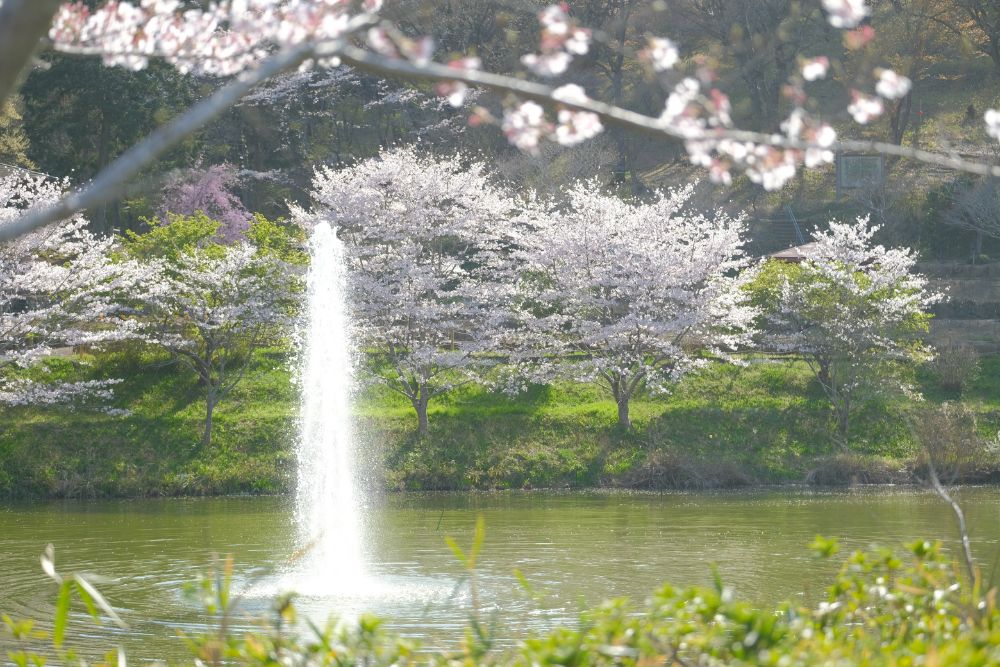 花々に囲まれた中で体験するアクティビティ