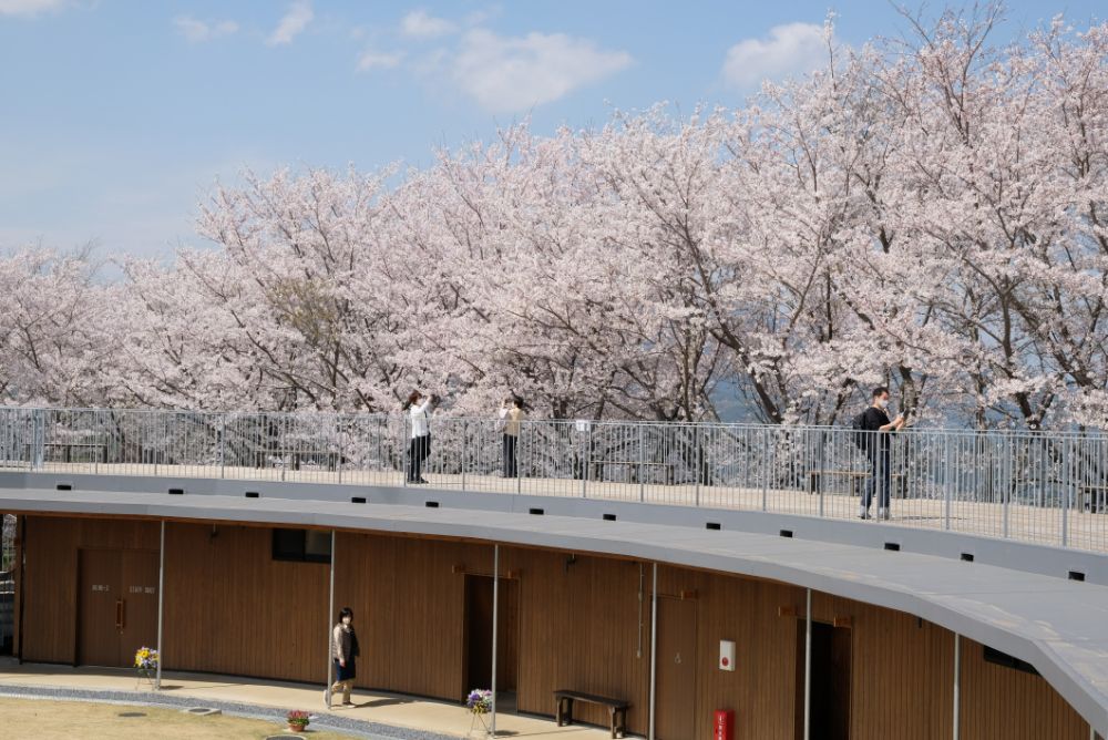 心も体も元気になれる広々とした園内