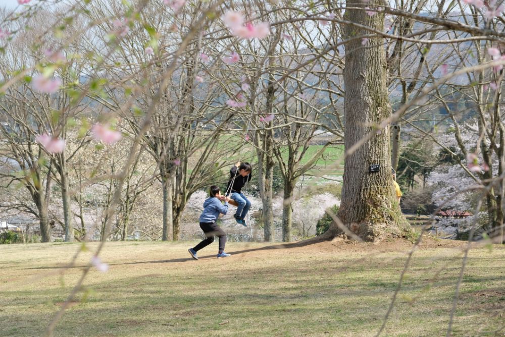 心も体も元気になれる広々とした園内