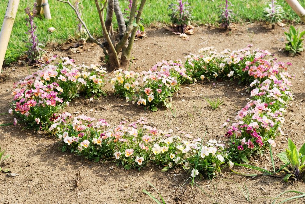 ハートアイテムを探して！季節の花エリアの植え替え作業