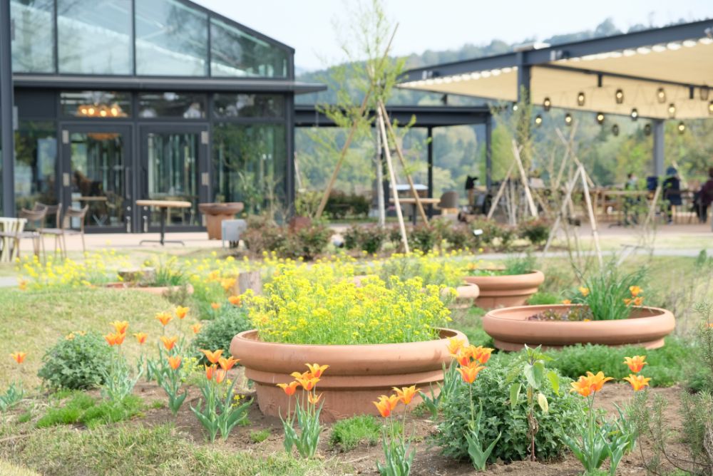 ハートアイテムを探して！季節の花エリアの植え替え作業