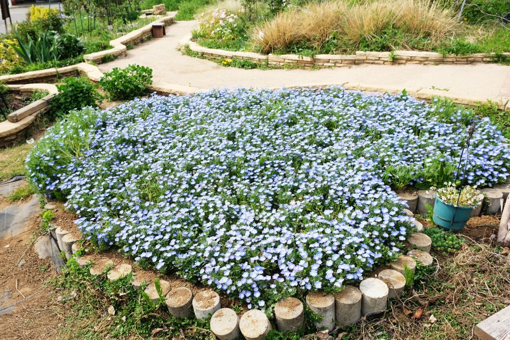 ハートアイテムを探して！季節の花エリアの植え替え作業