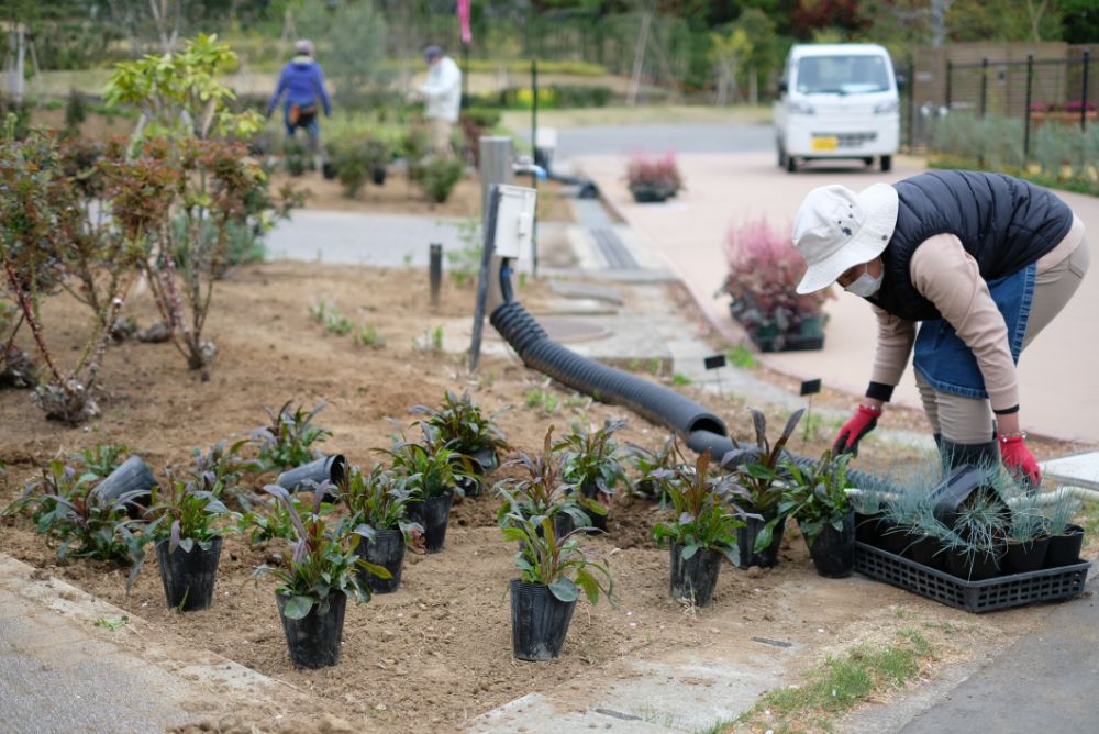 ハートアイテムを探して！季節の花エリアの植え替え作業