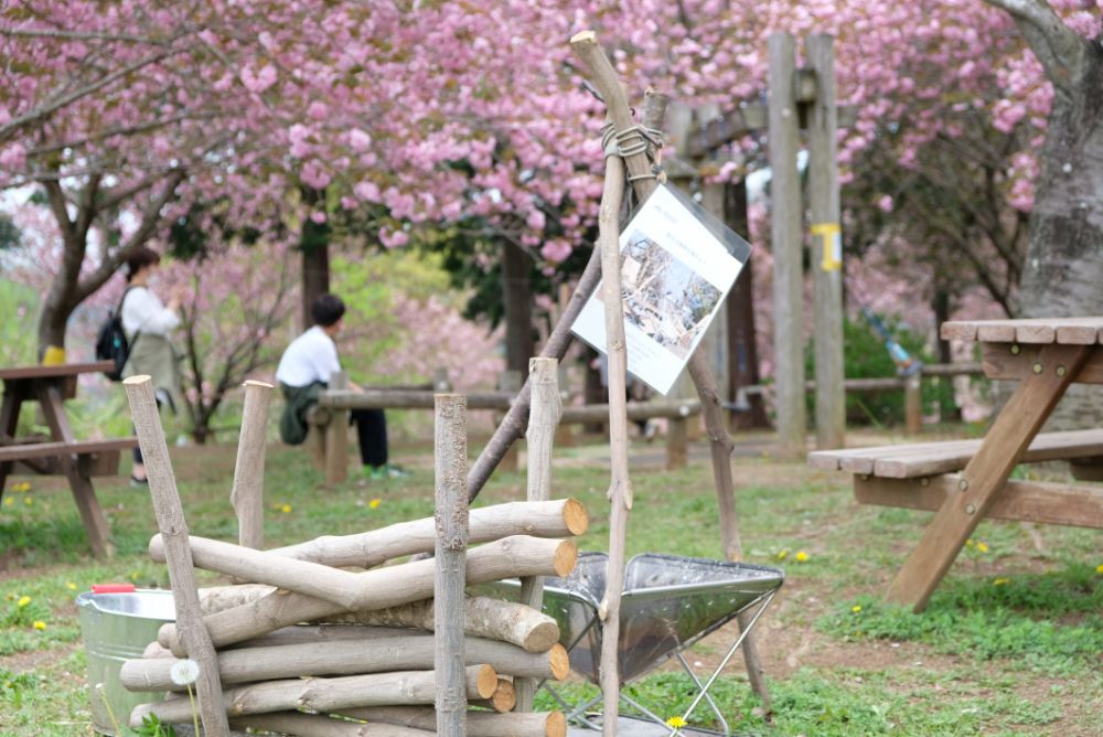 満開の八重桜の下で焚き火珈琲はいかが？