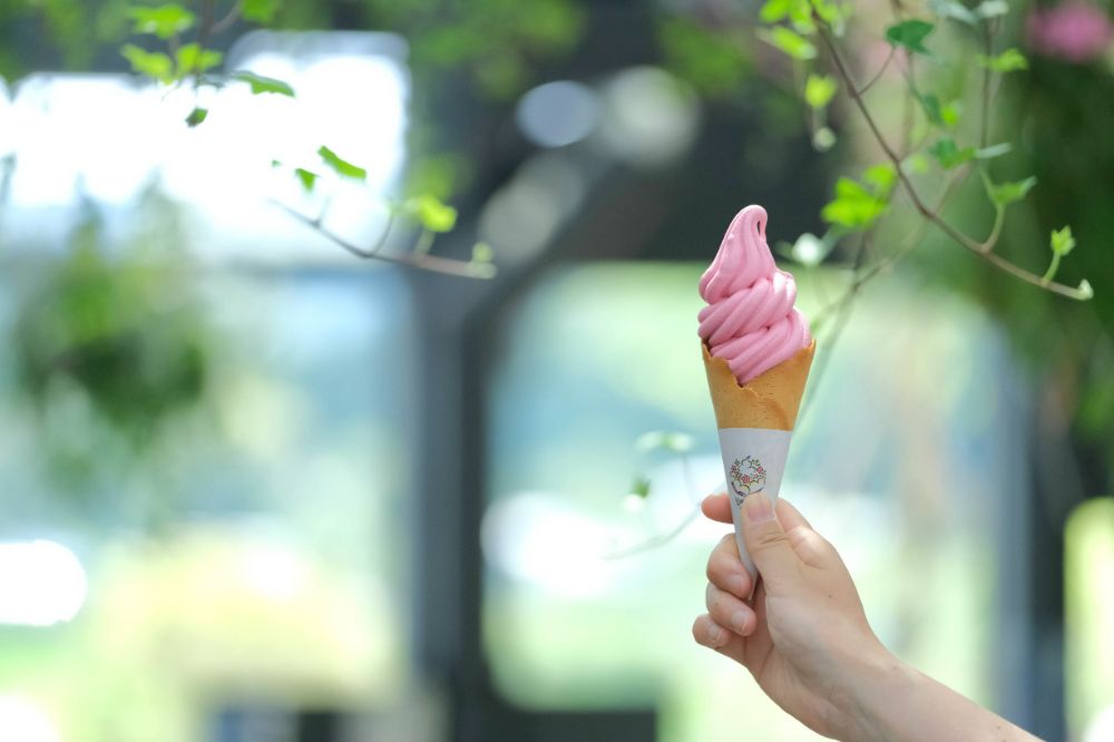 華やかな風味を味わうバラのソフトクリーム