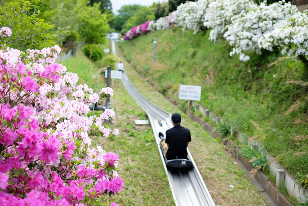 こどもの日、5/5（祝・木）はお子さまの入園無料！