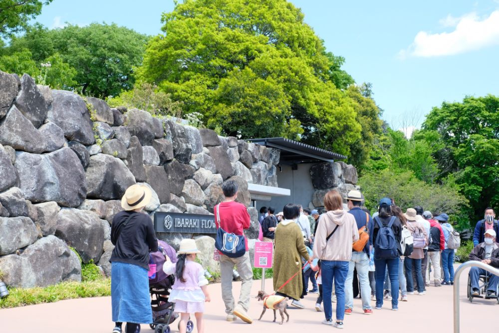 こどもの日、5/5（祝・木）はお子さまの入園無料！