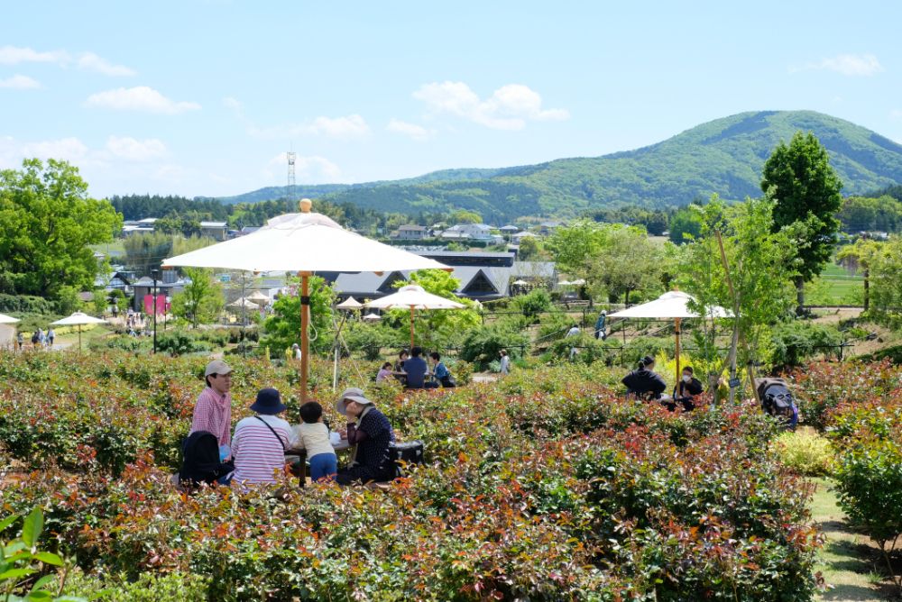 こどもの日、5/5（祝・木）はお子さまの入園無料！