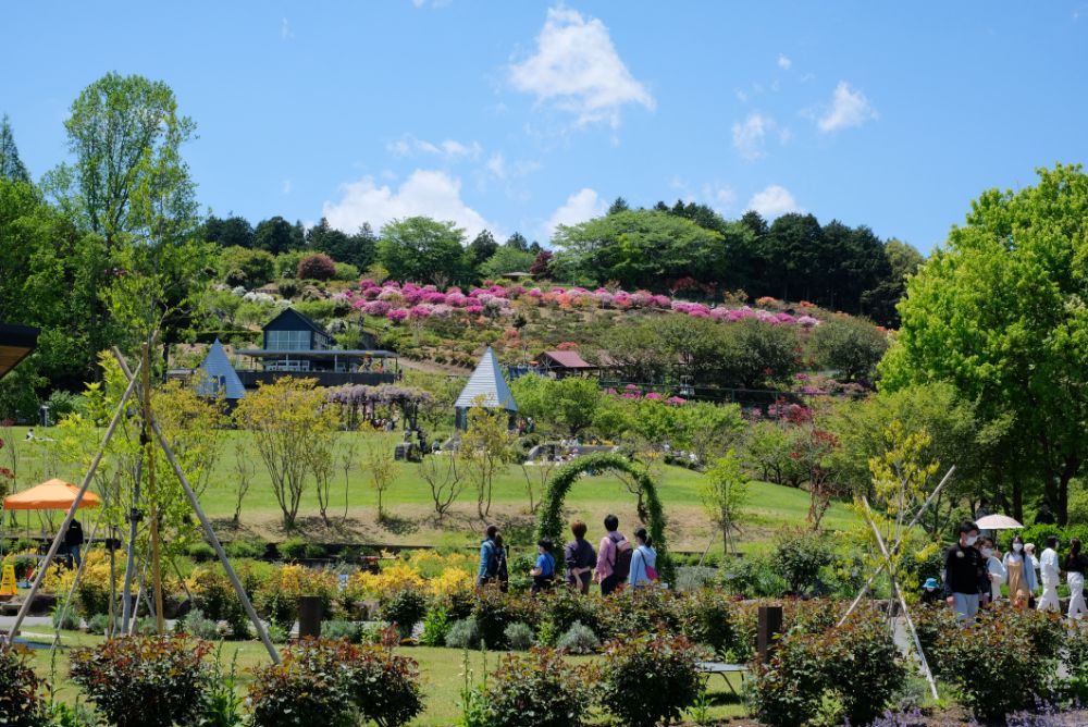 こどもの日、5/5（祝・木）はお子さまの入園無料！