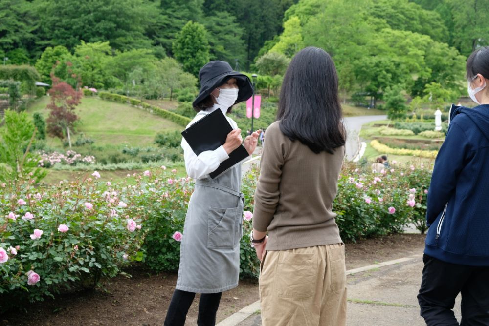 これから見頃を迎える春バラのガーデンツアーを開催中