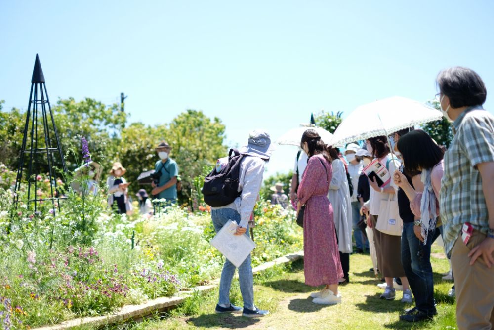 2022/5/28【開花状況】バラの開花状況