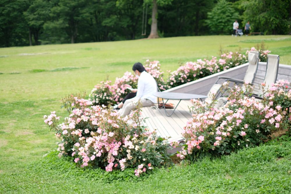 色彩豊かなバラやアジサイ、花々に囲まれた園内でピクニックを