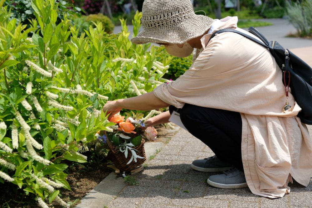 バラのアーチは今だけ！花や自然を楽しむアクティビティ