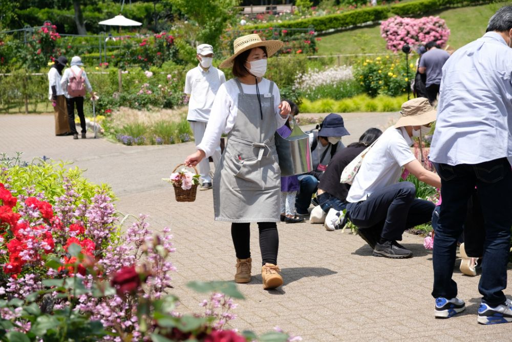 バラのアーチは今だけ！花や自然を楽しむアクティビティ