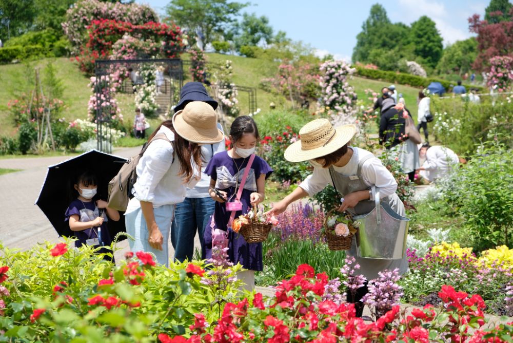 バラのアーチは今だけ！花や自然を楽しむアクティビティ