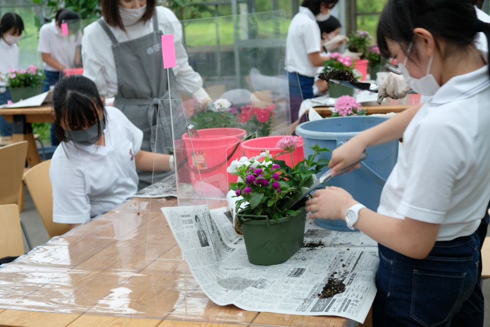 雨の日も楽しめるアクティビティ