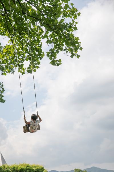 空、花、植物たちのコントラストが美しい園内