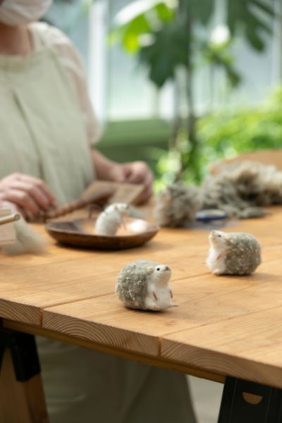 空、花、植物たちのコントラストが美しい園内