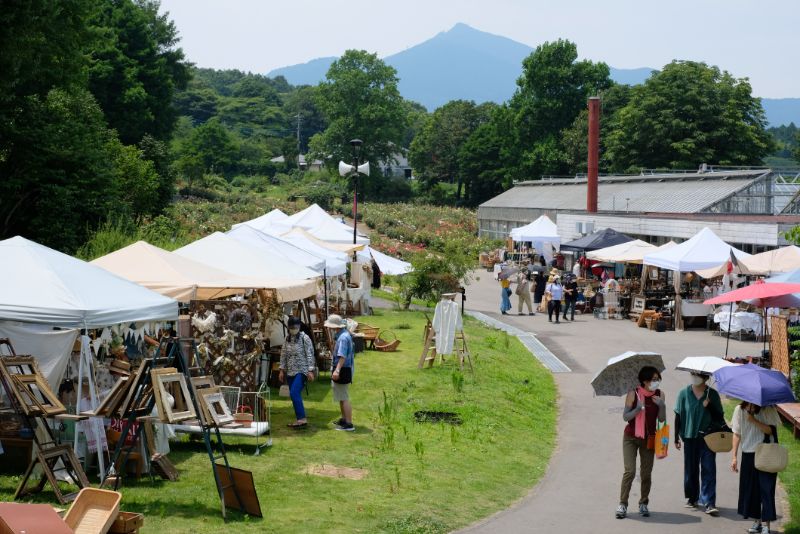 『GREEN HILL MARKET in いばらきフラワーパーク』を開催しました