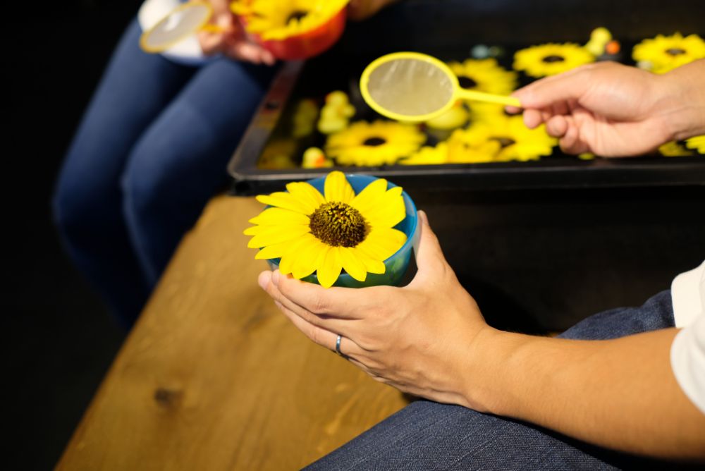 お得なサマーハッピーバッグを販売中！花摘みや花すくいなど開催中