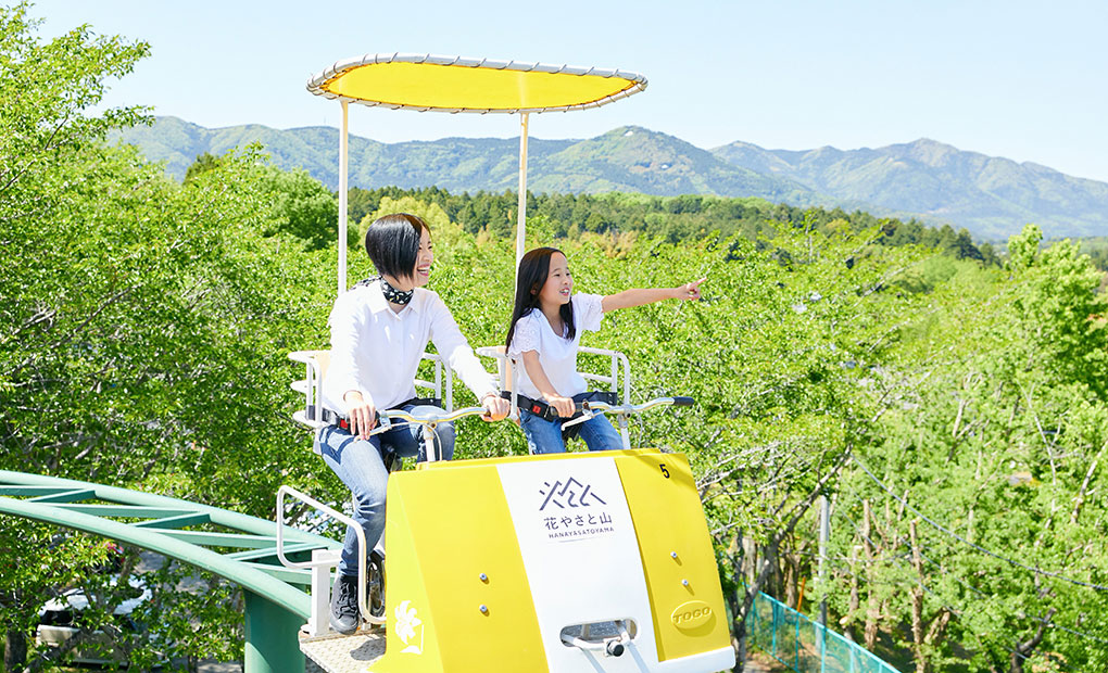 スカイサイクル