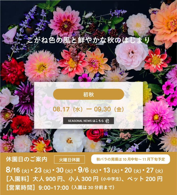 いばらきフラワーパーク 公式サイト