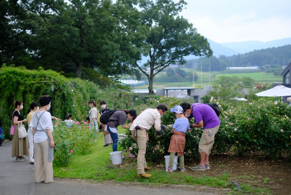 フラワーパークのお仕事体験やけん玉教室など夏休みはアクティビティがいっぱい