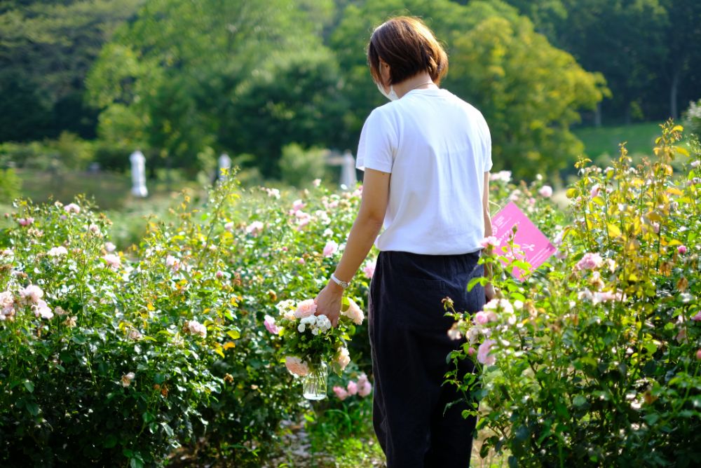 期間限定！バラの花摘みアクティビティ開催中