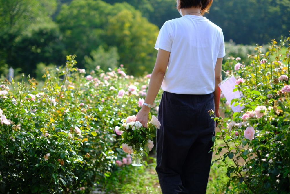 バラの花摘み放題