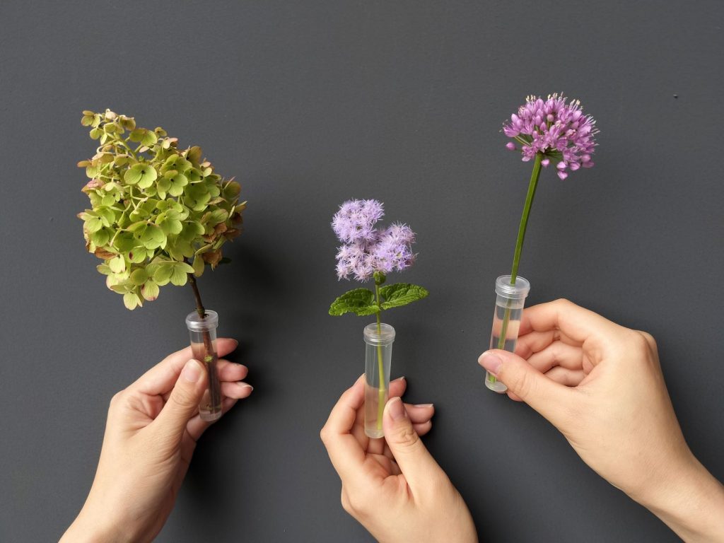 9 19敬老の日 お花一輪プレゼント 9 19敬老の日 お花一輪プレゼント