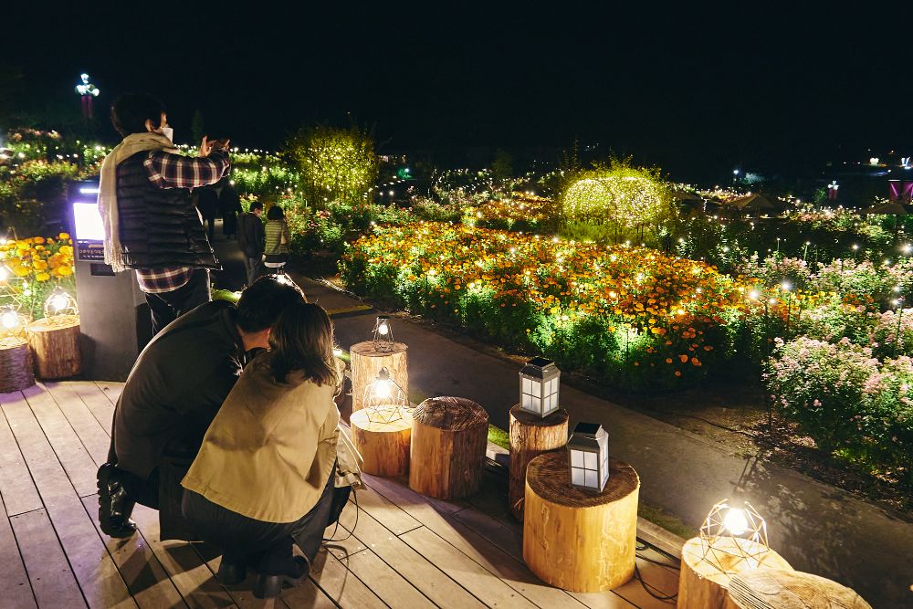 好評開催中の月明かりに浮かびあがる夜のバラ園ライトアップ