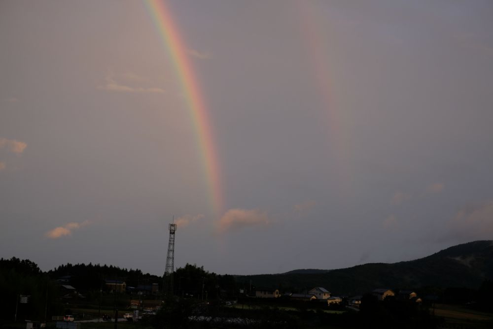 2022/10/6【開花状況】秋バラの開花状況。ダブルで空にかかる虹