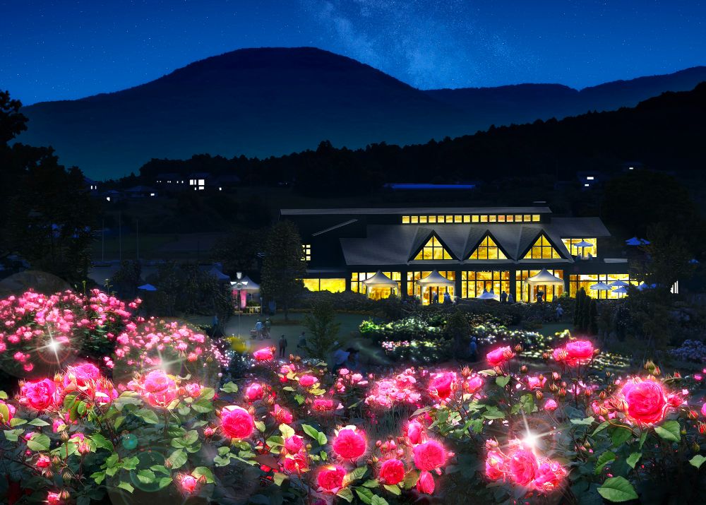 SPRING flower様お取り置き※グランディエライト、インカローズ 幼く 